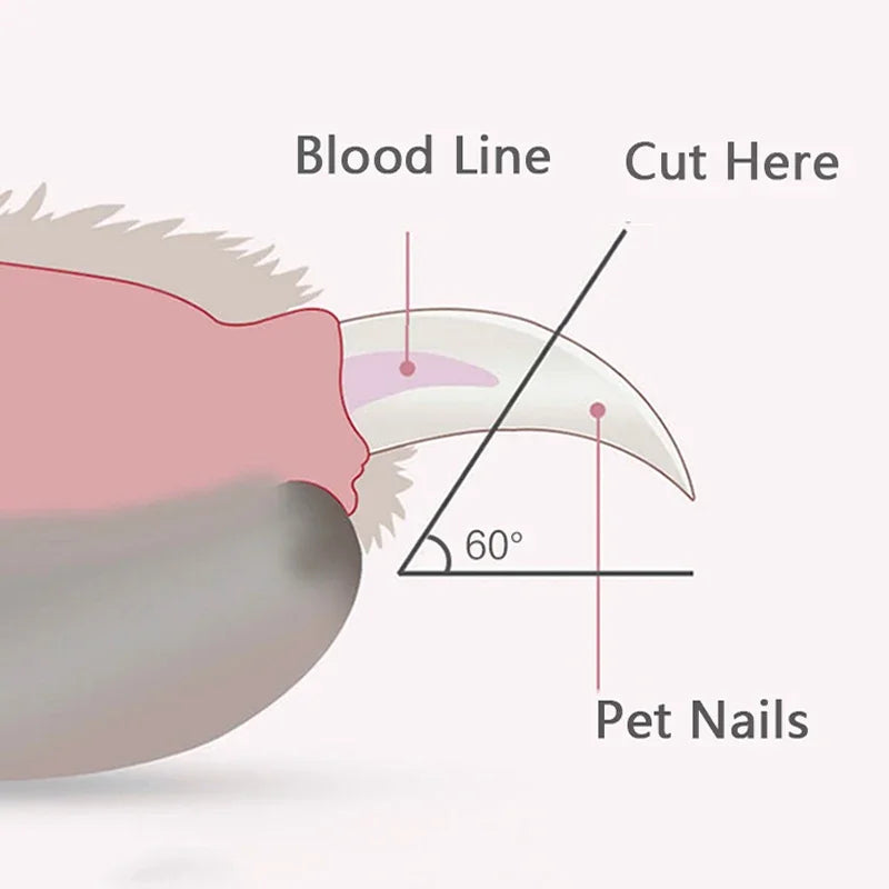 Professional Pet Nail Clippers with Led Light Pet Claw Grooming Scissors for Dogs Cats Small Animals